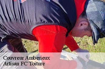 Couvreur  amberieux-69480 Artisan FC Toiture