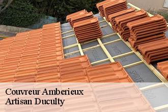 Couvreur  amberieux-69480 Artisan Duculty