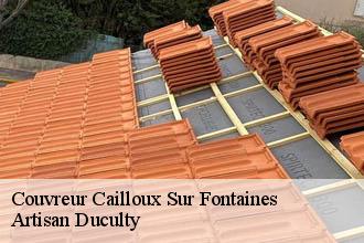 Couvreur  cailloux-sur-fontaines-69270 Artisan Duculty