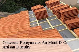 Couvreur  poleymieux-au-mont-d-or-69250 Artisan Duculty
