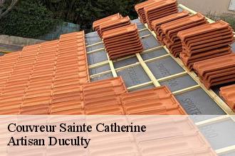 Couvreur  sainte-catherine-69440 Artisan Duculty