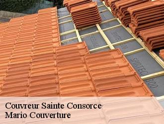 Couvreur  sainte-consorce-69280 Mario Couverture 