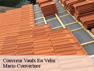 Couvreur  vaulx-en-velin-69120 Mario Couverture 