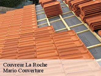 Couvreur  la-roche-69620 Mario Couverture 