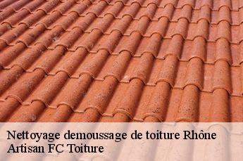 Nettoyage demoussage de toiture 69 Rhône  Artisan FC Toiture
