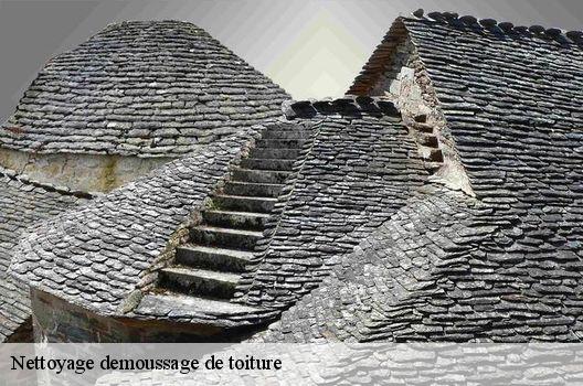 Nettoyage demoussage de toiture Rhône 