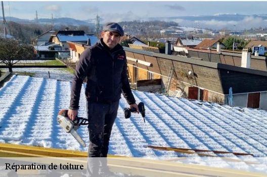 Réparation de toiture Rhône 