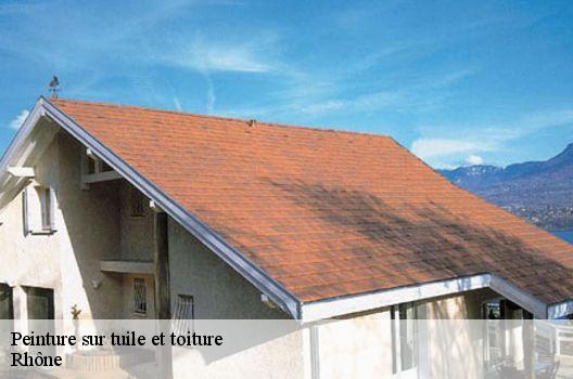 Peinture sur tuile et toiture Rhône 