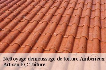Nettoyage demoussage de toiture  amberieux-69480 Artisan FC Toiture