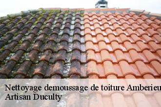 Nettoyage demoussage de toiture  amberieux-69480 Artisan FC Toiture