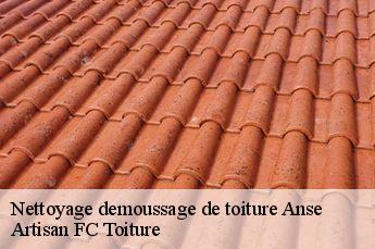 Nettoyage demoussage de toiture  anse-69480 Artisan FC Toiture