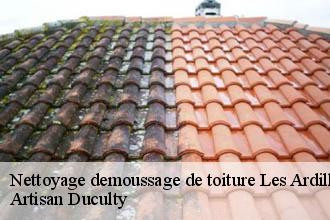 Nettoyage demoussage de toiture  les-ardillats-69430 Artisan Duculty