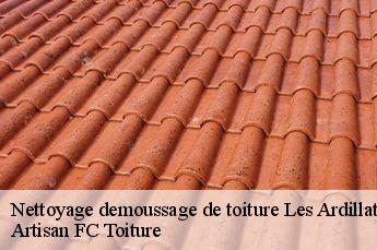 Nettoyage demoussage de toiture  les-ardillats-69430 Artisan FC Toiture