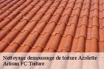 Nettoyage demoussage de toiture  azolette-69790 Artisan FC Toiture
