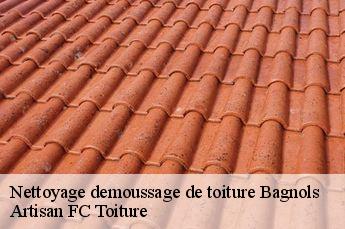 Nettoyage demoussage de toiture  bagnols-69620 Artisan FC Toiture