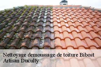 Nettoyage demoussage de toiture  bibost-69690 Artisan Duculty