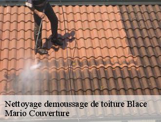 Nettoyage demoussage de toiture blace-69460 Mario Couverture