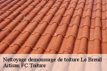Nettoyage demoussage de toiture  le-breuil-69620 Artisan FC Toiture