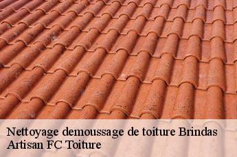 Nettoyage demoussage de toiture  brindas-69126 Artisan FC Toiture