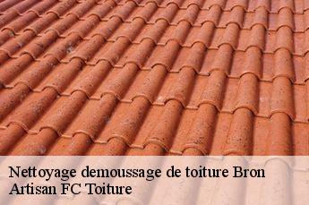 Nettoyage demoussage de toiture  bron-69500 Artisan FC Toiture