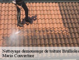 Nettoyage demoussage de toiture  brullioles-69690 Mario Couverture 