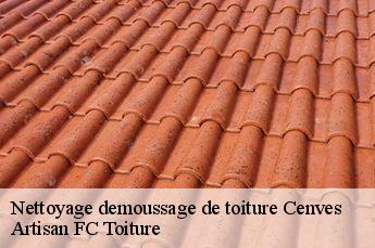 Nettoyage demoussage de toiture  cenves-69840 Artisan FC Toiture