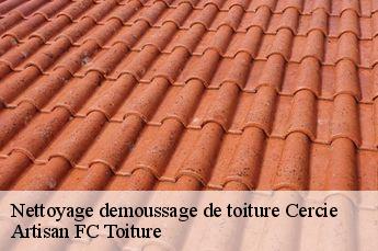 Nettoyage demoussage de toiture  cercie-69220 Artisan FC Toiture