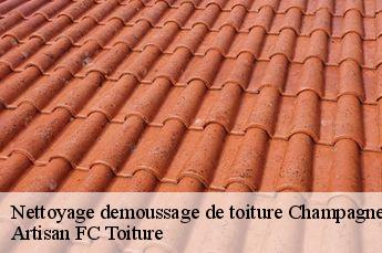 Nettoyage demoussage de toiture  champagne-au-mont-d-or-69410 Artisan FC Toiture