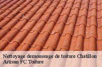 Nettoyage demoussage de toiture  chatillon-69380 Artisan FC Toiture