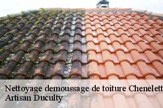 Nettoyage demoussage de toiture  chenelette-69430 Artisan Duculty