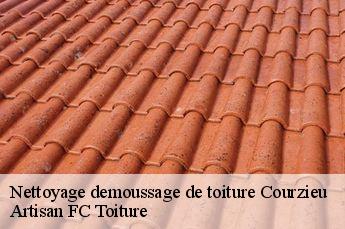 Nettoyage demoussage de toiture  courzieu-69690 Artisan FC Toiture
