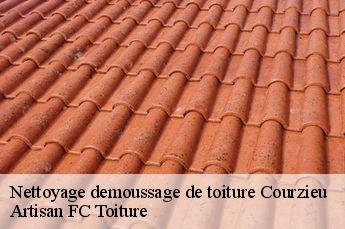 Nettoyage demoussage de toiture  courzieu-69690 Artisan FC Toiture