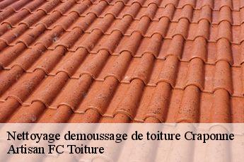 Nettoyage demoussage de toiture  craponne-69290 Artisan FC Toiture