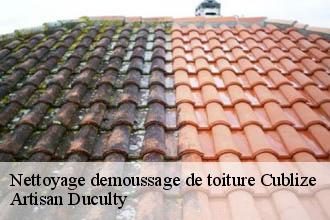 Nettoyage demoussage de toiture  cublize-69550 Artisan Duculty