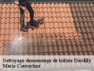 Nettoyage demoussage de toiture dardilly-69570 Mario Couverture