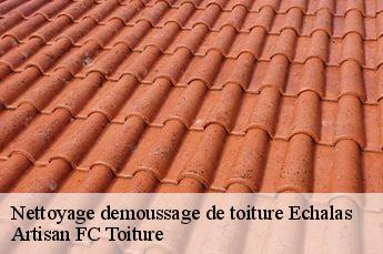 Nettoyage demoussage de toiture  echalas-69700 Artisan FC Toiture
