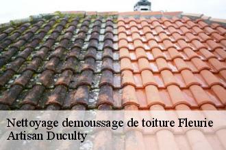 Nettoyage demoussage de toiture  fleurie-69820 Artisan Duculty