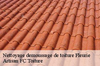 Nettoyage demoussage de toiture  fleurie-69820 Artisan FC Toiture