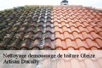 Nettoyage demoussage de toiture  gleize-69400 Artisan Duculty