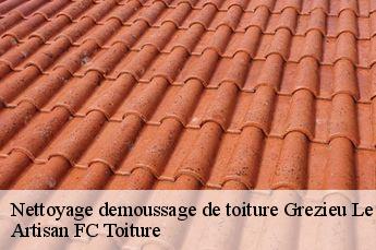 Nettoyage demoussage de toiture  grezieu-le-marche-69610 Artisan FC Toiture