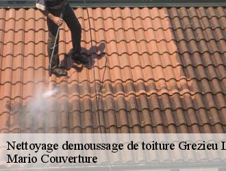Nettoyage demoussage de toiture  grezieu-le-marche-69610 Mario Couverture 