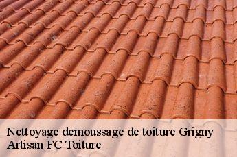 Nettoyage demoussage de toiture  grigny-69520 Artisan FC Toiture