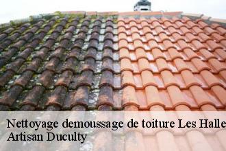 Nettoyage demoussage de toiture  les-halles-69610 Artisan Duculty