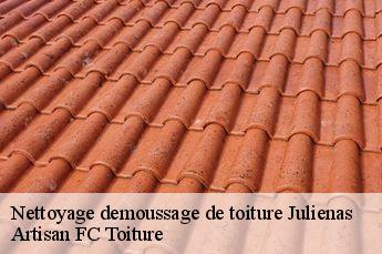 Nettoyage demoussage de toiture  julienas-69840 Artisan FC Toiture