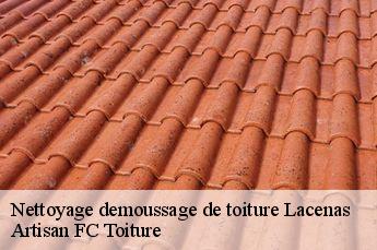 Nettoyage demoussage de toiture  lacenas-69640 Artisan FC Toiture
