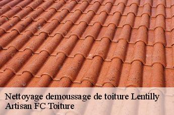 Nettoyage demoussage de toiture  lentilly-69210 Artisan FC Toiture
