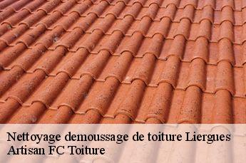 Nettoyage demoussage de toiture  liergues-69400 Artisan FC Toiture