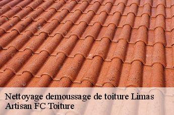 Nettoyage demoussage de toiture  limas-69400 Artisan FC Toiture