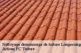 Nettoyage demoussage de toiture  longessaigne-69770 Artisan FC Toiture