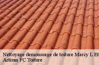 Nettoyage demoussage de toiture  marcy-l-etoile-69280 Artisan FC Toiture